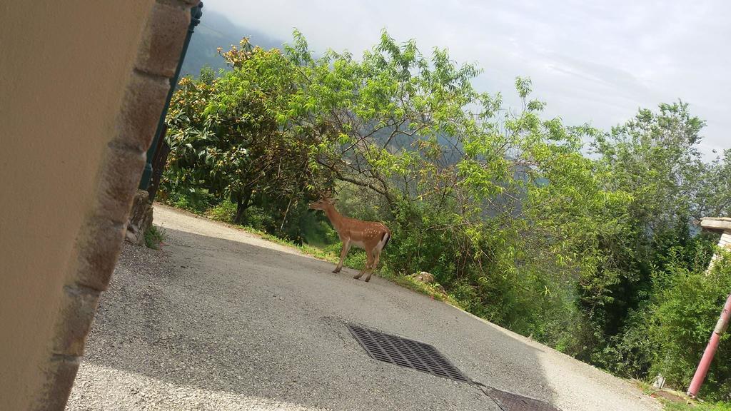 Bed & Breakfast Casa Lisetta Valtopina Dış mekan fotoğraf