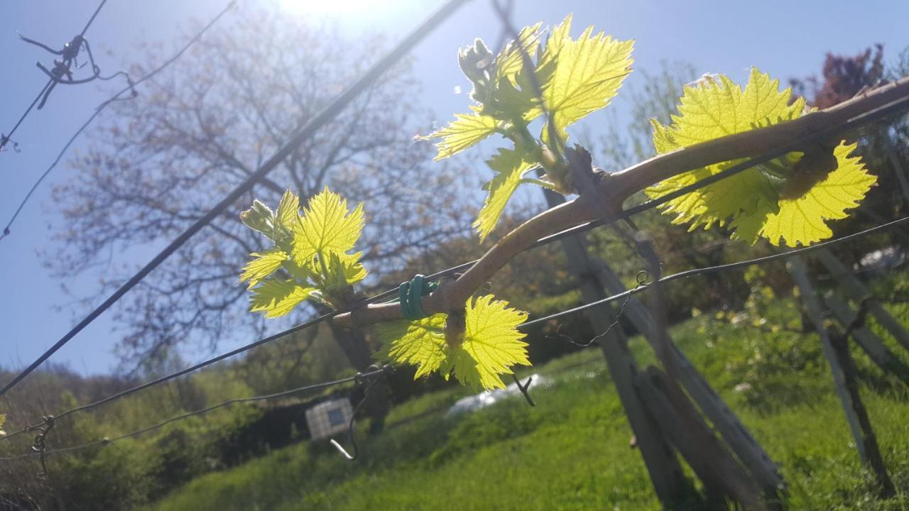 Bed & Breakfast Casa Lisetta Valtopina Dış mekan fotoğraf