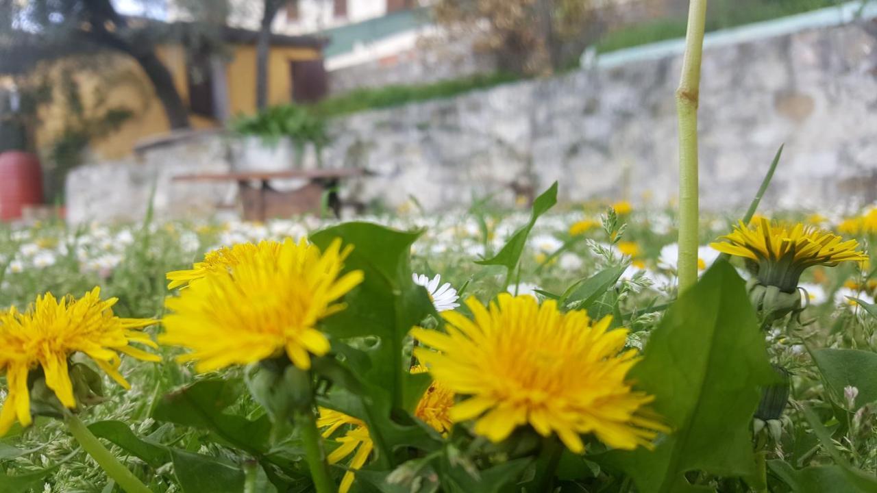 Bed & Breakfast Casa Lisetta Valtopina Dış mekan fotoğraf