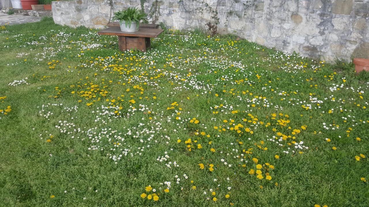 Bed & Breakfast Casa Lisetta Valtopina Dış mekan fotoğraf