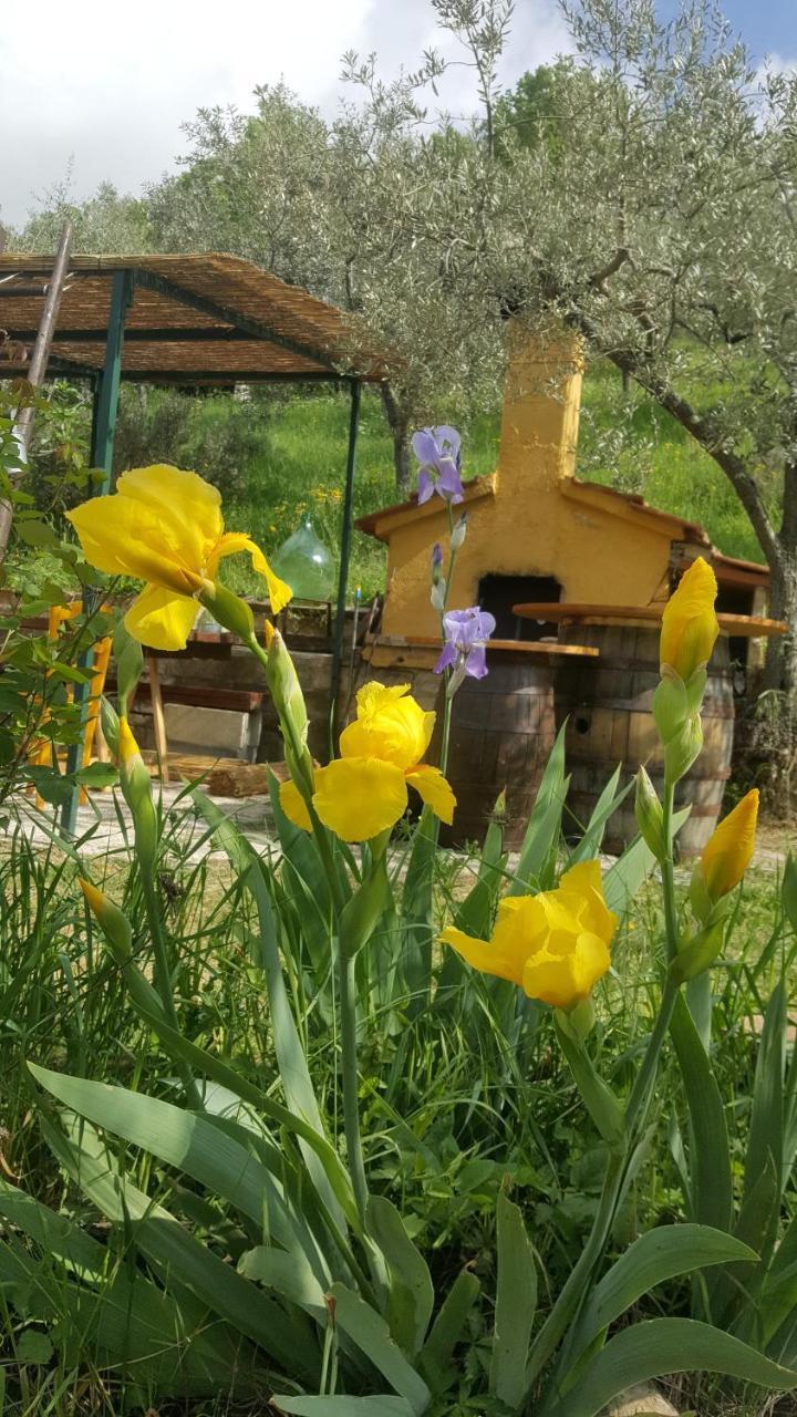 Bed & Breakfast Casa Lisetta Valtopina Dış mekan fotoğraf
