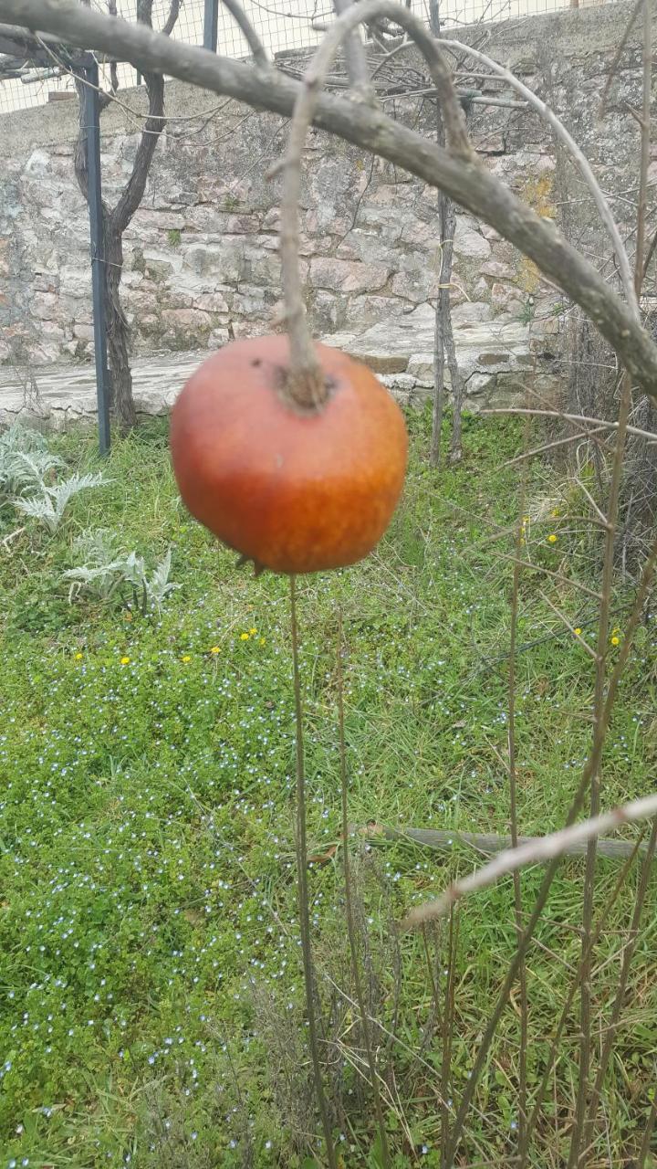 Bed & Breakfast Casa Lisetta Valtopina Dış mekan fotoğraf