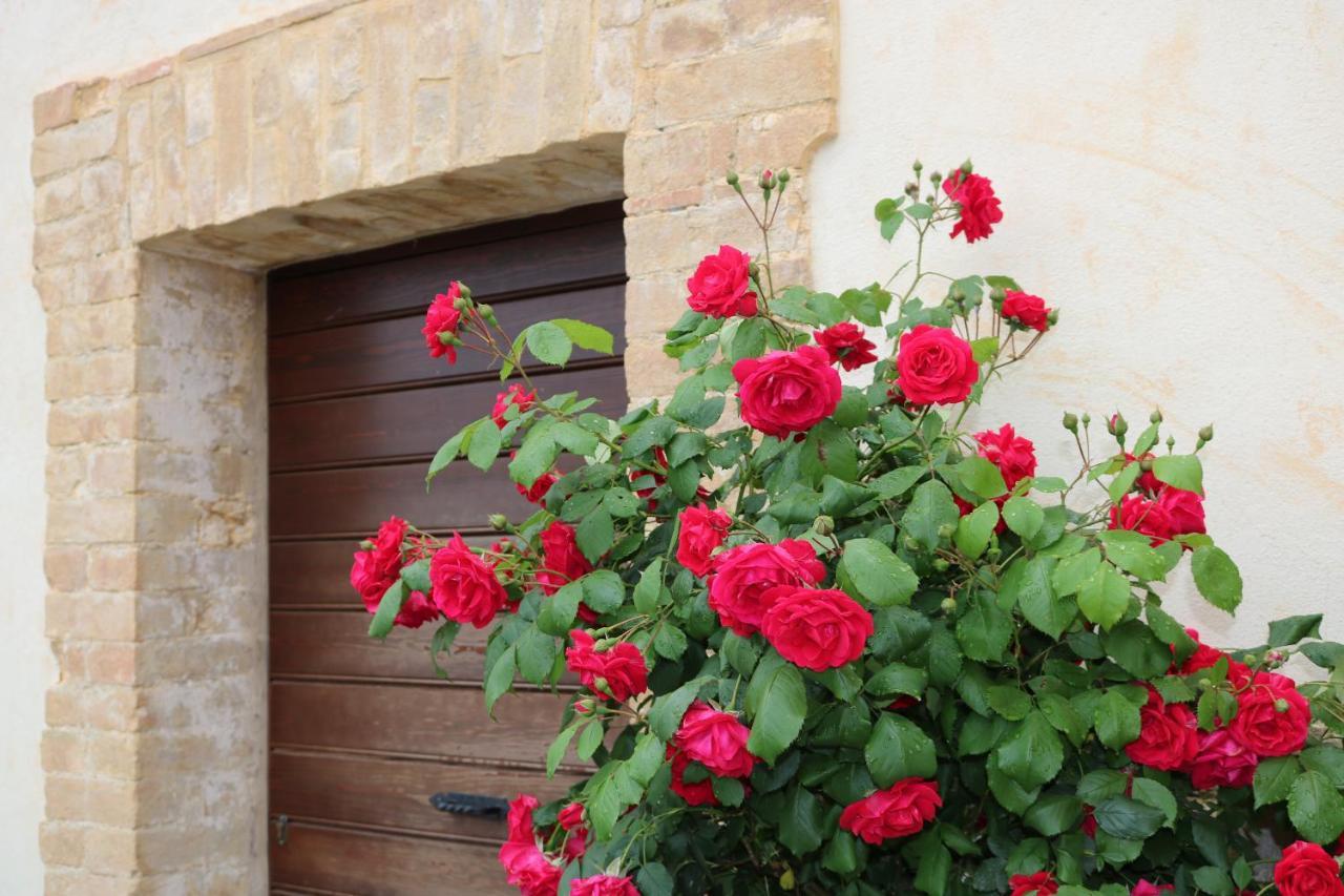 Bed & Breakfast Casa Lisetta Valtopina Dış mekan fotoğraf