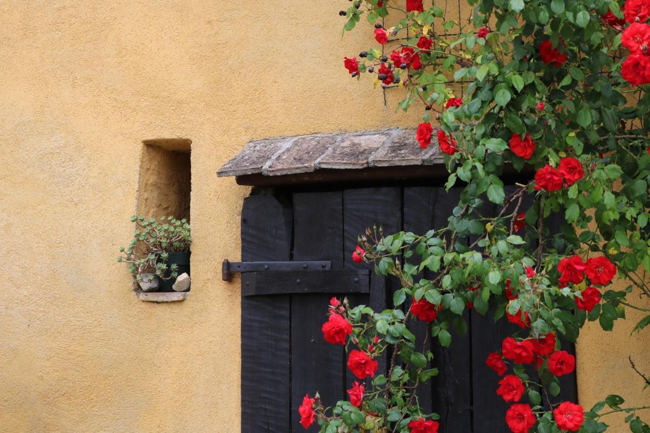 Bed & Breakfast Casa Lisetta Valtopina Dış mekan fotoğraf