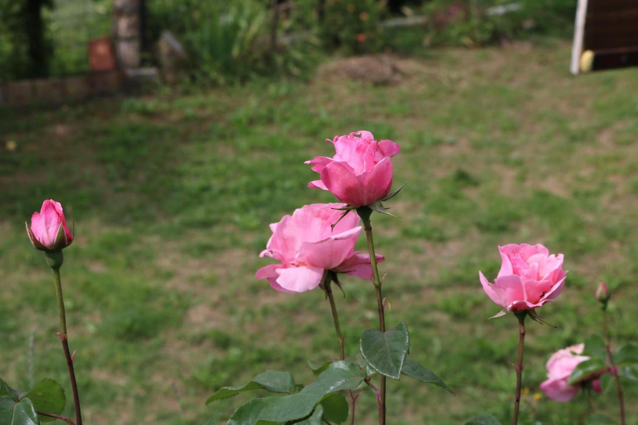 Bed & Breakfast Casa Lisetta Valtopina Dış mekan fotoğraf