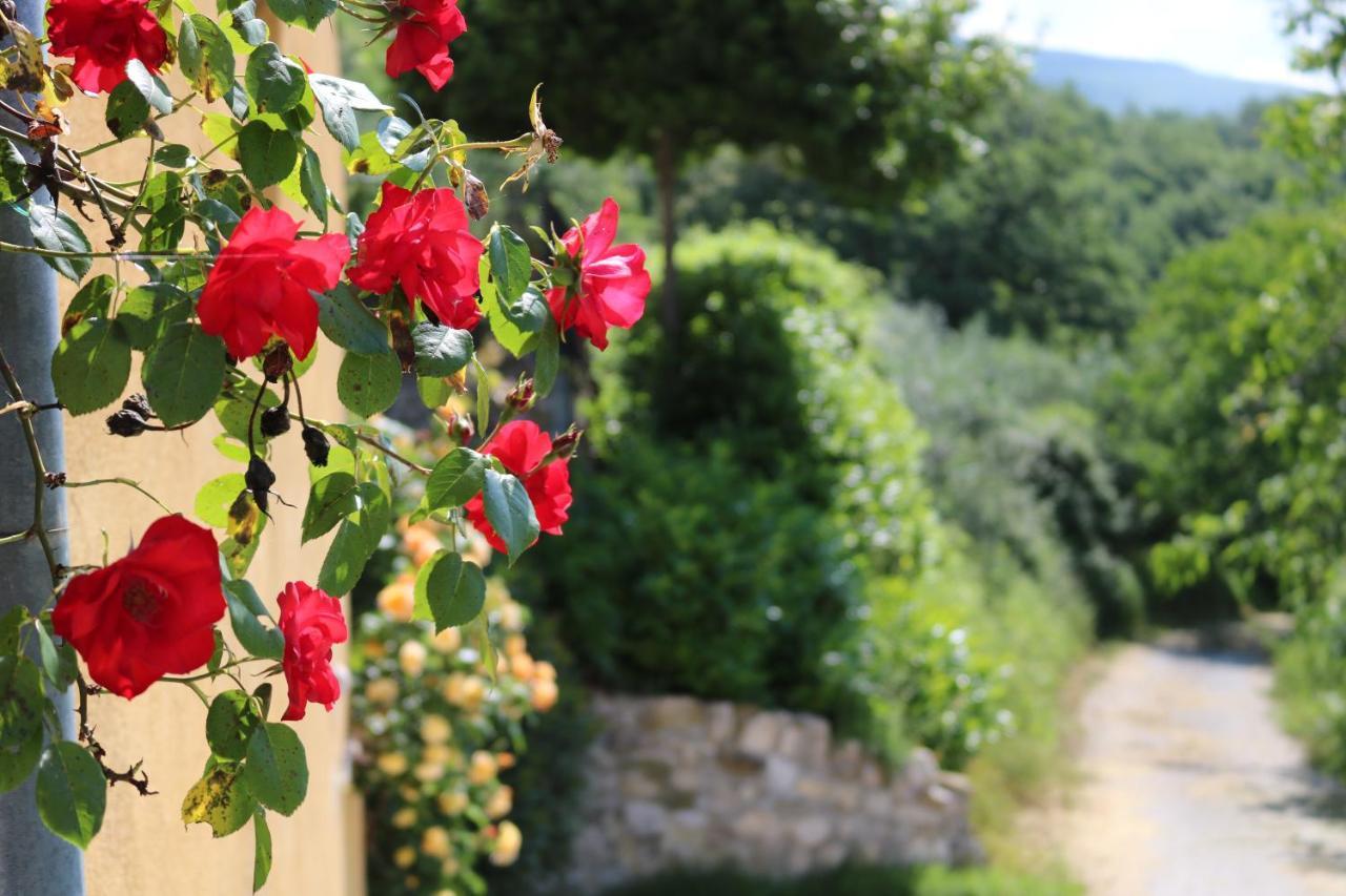 Bed & Breakfast Casa Lisetta Valtopina Dış mekan fotoğraf