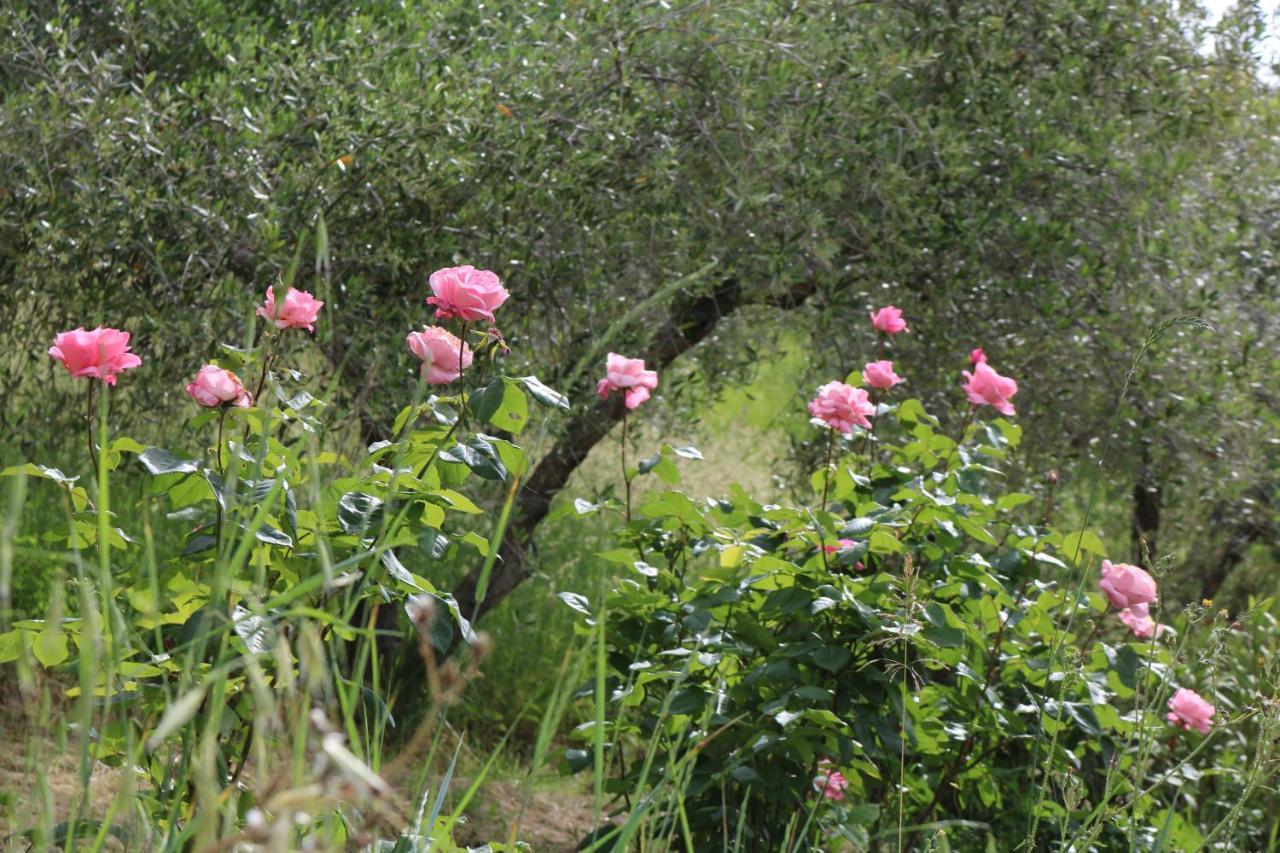 Bed & Breakfast Casa Lisetta Valtopina Dış mekan fotoğraf