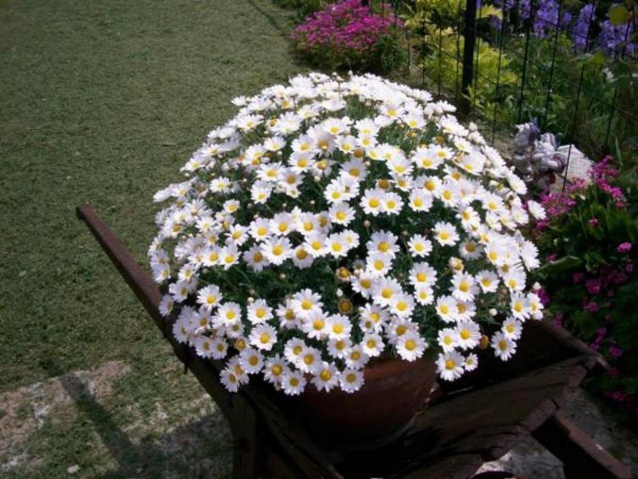 Bed & Breakfast Casa Lisetta Valtopina Dış mekan fotoğraf