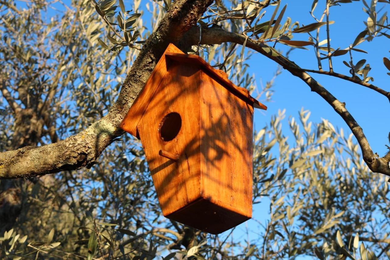 Bed & Breakfast Casa Lisetta Valtopina Dış mekan fotoğraf